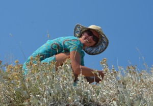 Willkommen 1 DSC_0588