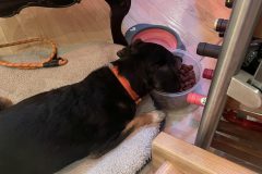 Parfum-Workshop-20250308-089