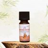 Aromaöl Mandarine