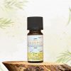 Aromaöl Cajeput