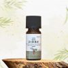 Aromaöl Zirbe