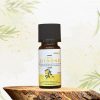 Aromaöl Zitrone
