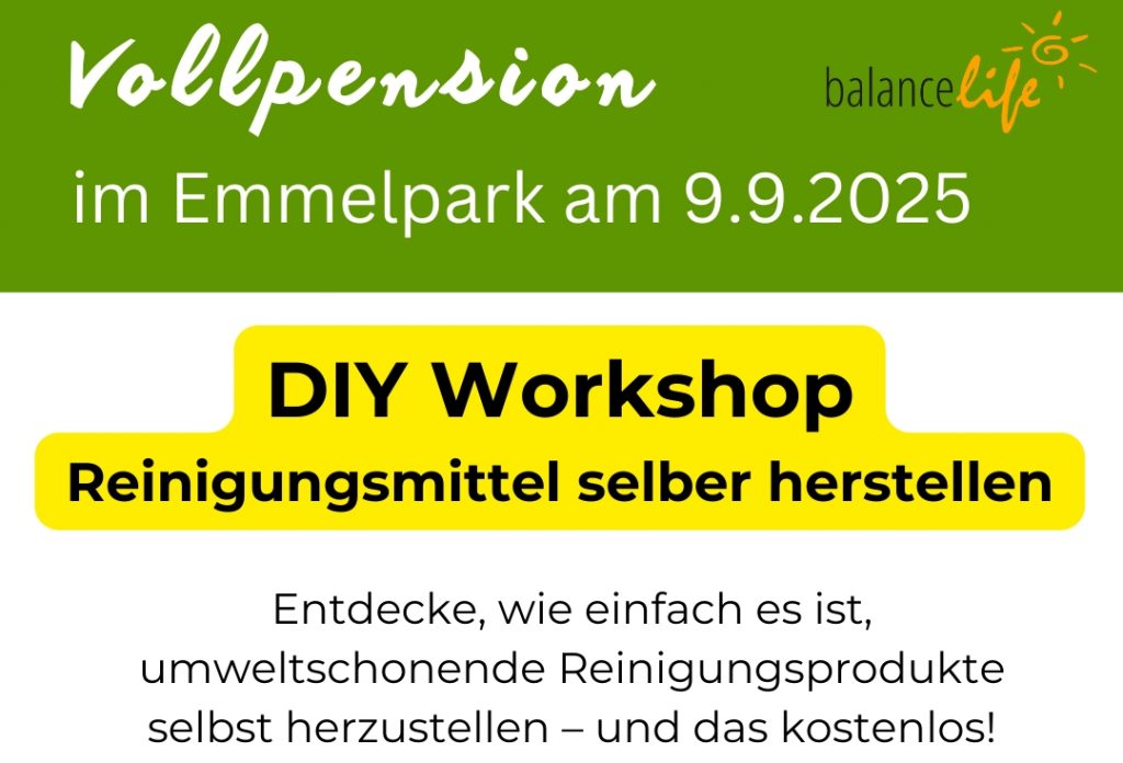 Vollpension Emmelpark DIY Reinigung 2025 header